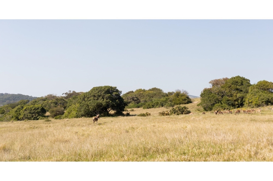0 Bedroom Property for Sale in Royalston Residential Estate and Wildlife Reserve Eastern Cape